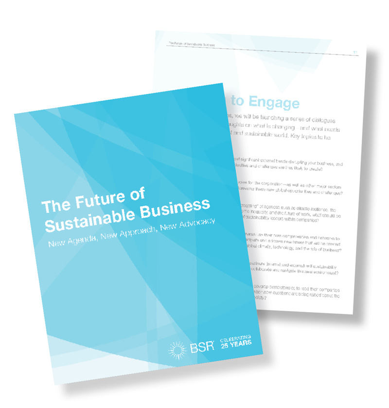 The Future of Sustainable Business report cover