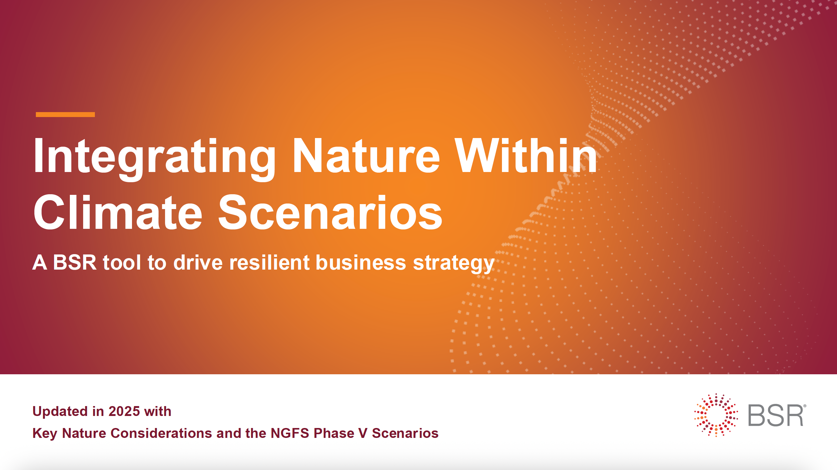 Integrating Nature within Climate Scenarios  cover image