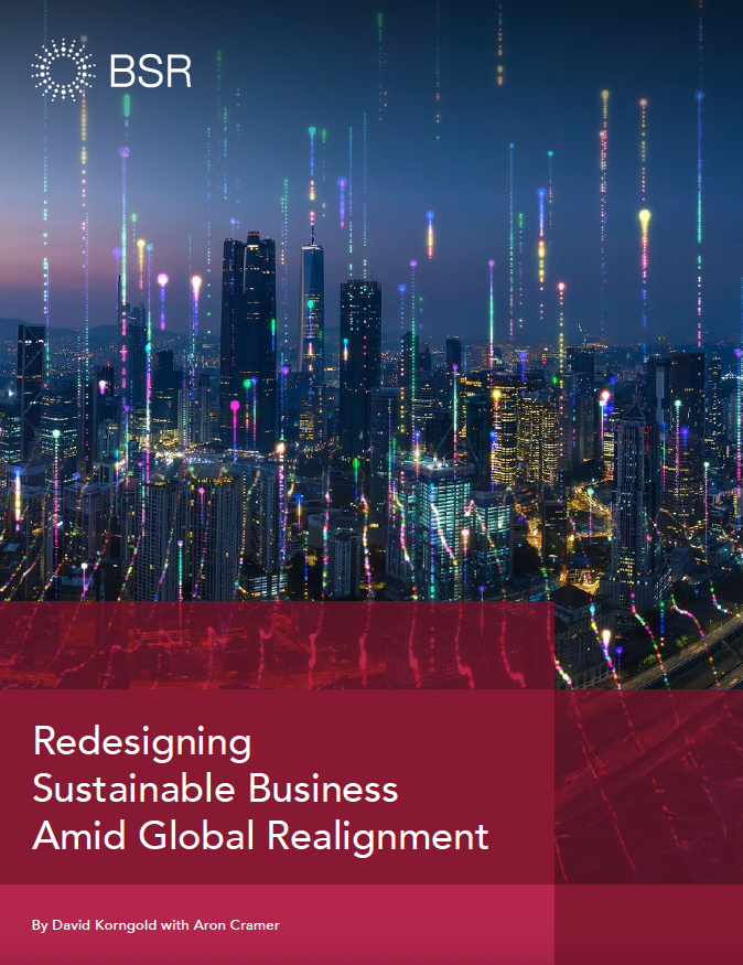 Redesigning Sustainable Business Amid Global Realignment  cover image