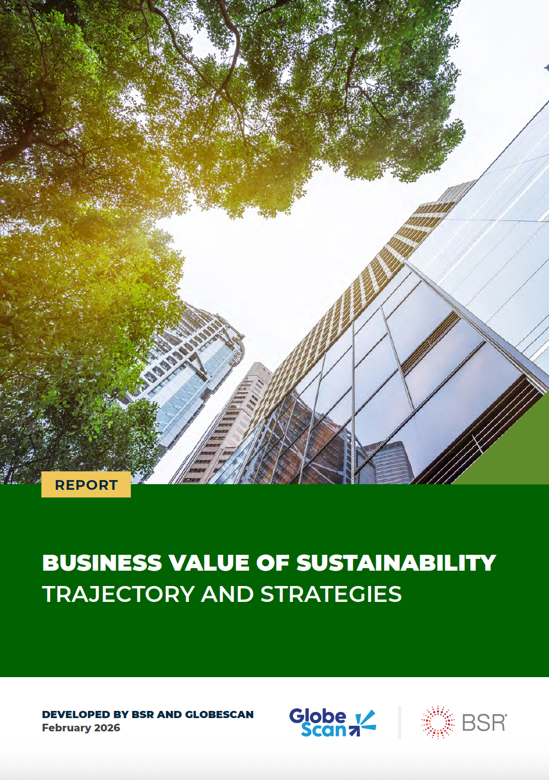 Business Value of Sustainability: Trajectory and Strategies cover image