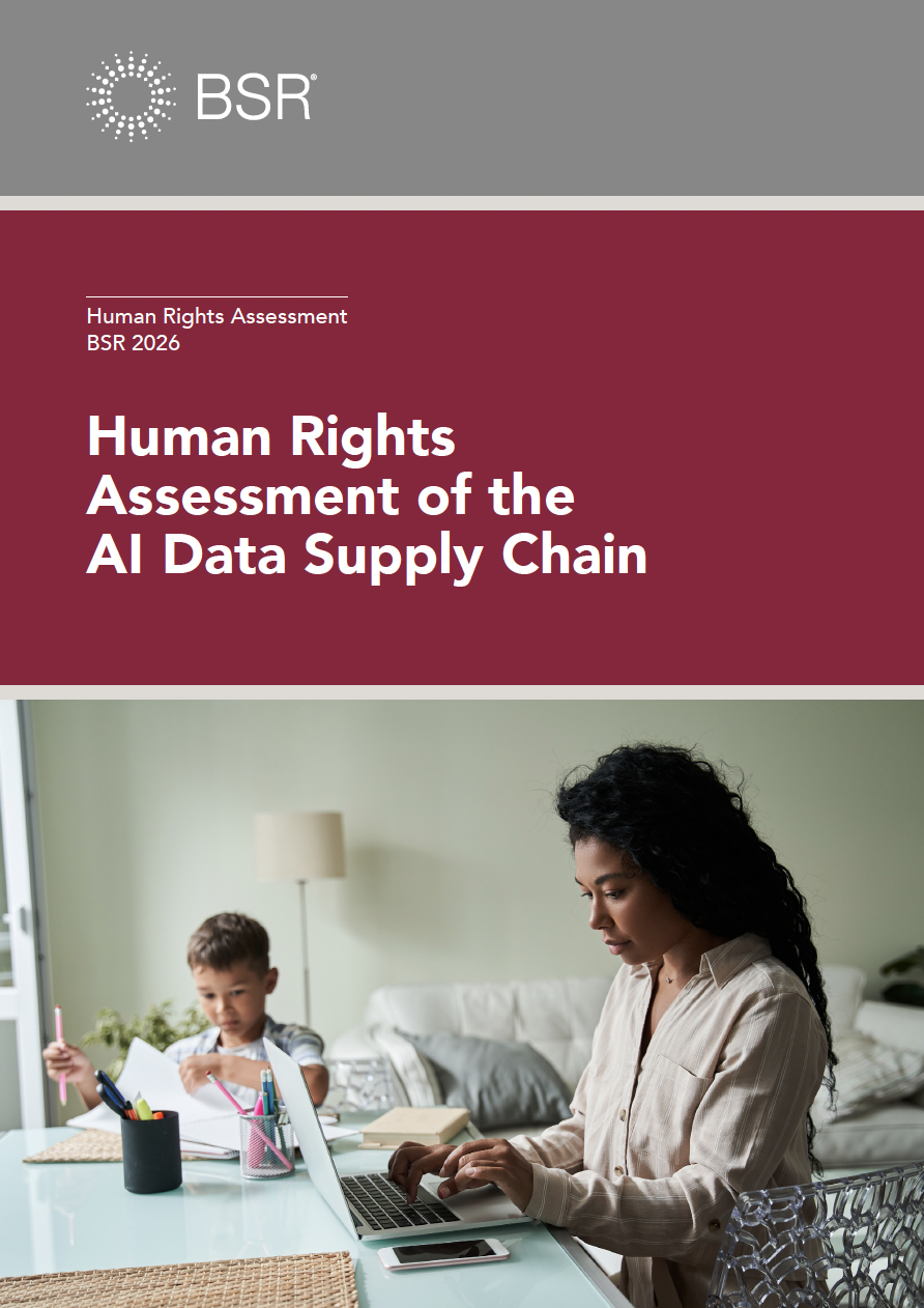 Human Rights Assessment of the AI Data Supply Chain cover image