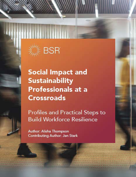 Social Impact and Sustainability Professionals at a Crossroads: Profiles and Practical Steps to Build Workforce Resilience cover image