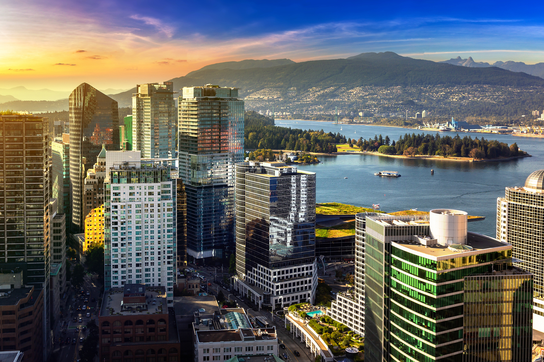 The Silent G: Six Questions Every Leadership Team Should Ask About Sustainability Governance hero image