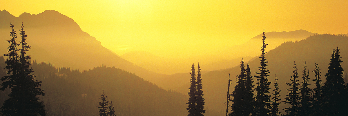 Hopes for the Business World in the New Year hero image