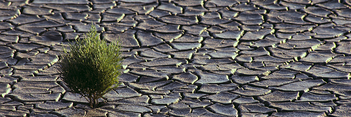 Building a Resilient Future hero image