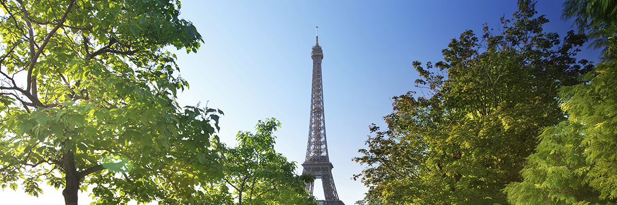 The Five W’s of France’s CSR Reporting Law hero image