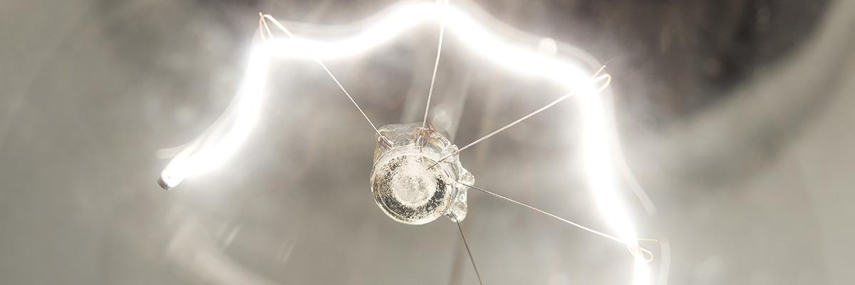 Sustainable Lifestyles: Driving Value for Business and Consumers hero image