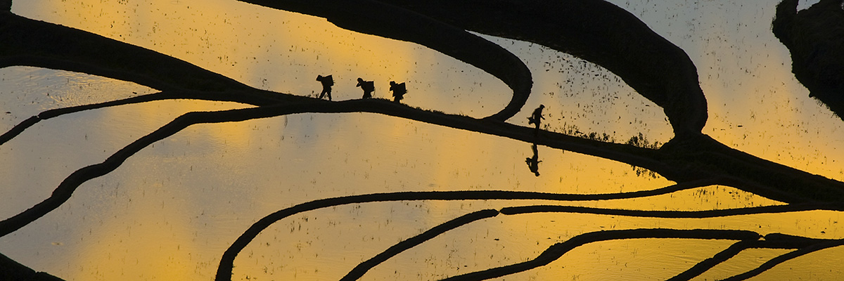 Translating Climate Science to Build a Resilient Agriculture Sector hero image