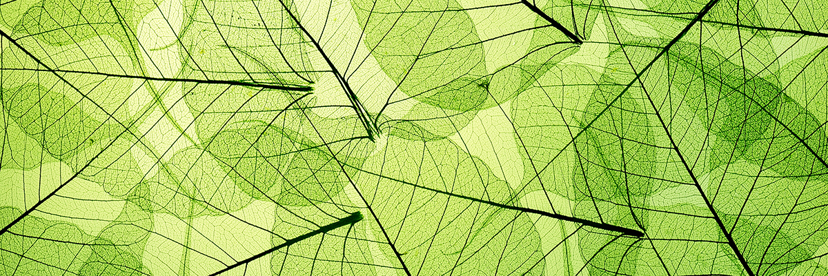 BSR/GlobeScan State of Sustainable Business Survey 2014 hero image