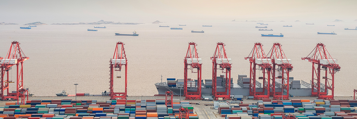 The Maritime Anti-Corruption Network: Tackling Corruption through Collective Action hero image