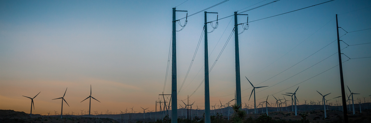 The Future of Internet Power: How Tech Companies Are Leading on Renewables hero image