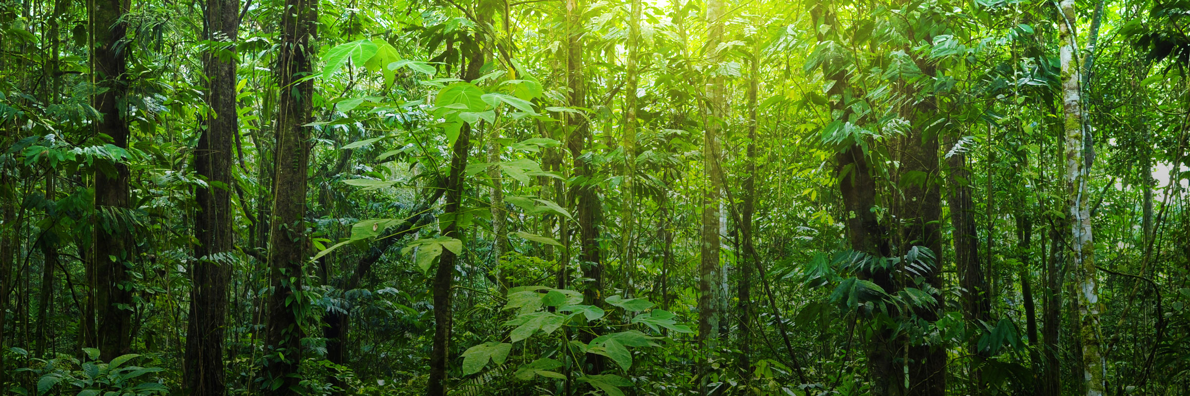 Making Collective Governance Work: A Q&A with Eddie Rich on the EITI hero image