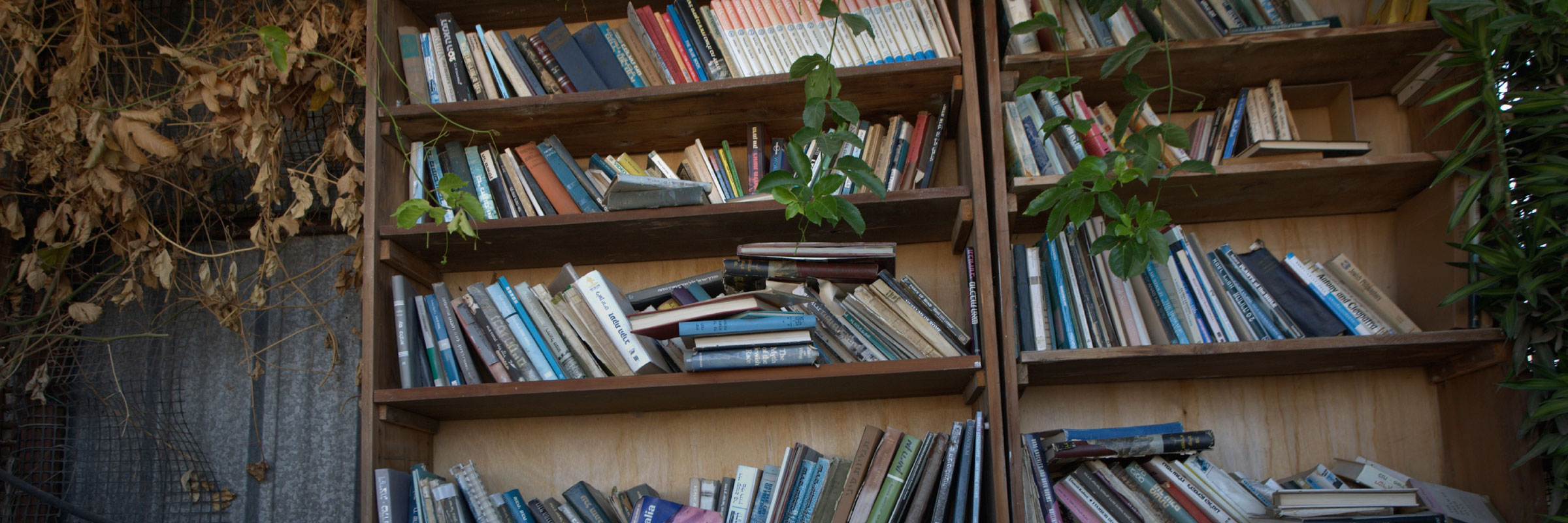 Strengthening ESG Reporting and Performance in the COVID-19 Era hero image