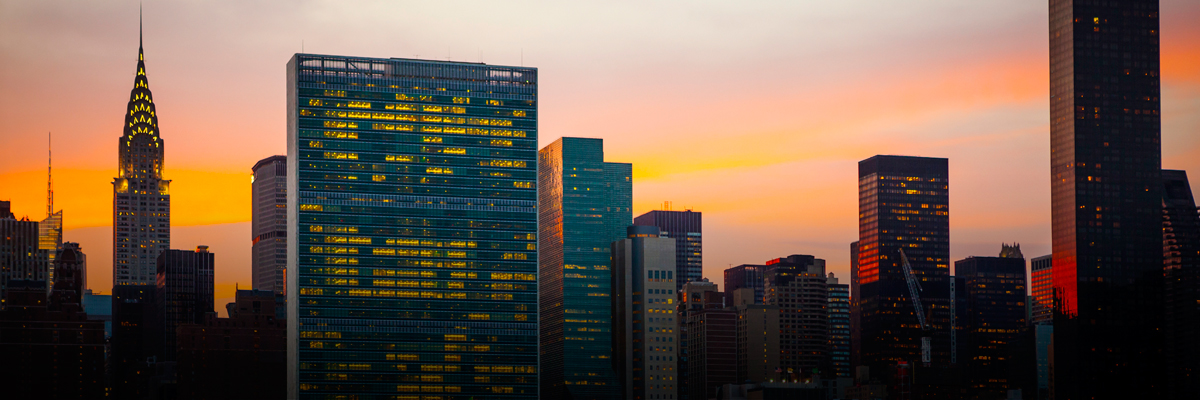 Business and the Sustainable Development Goals: What to Expect and How to Lead hero image