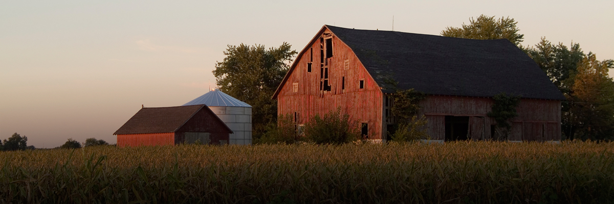 Two Questions for Campbell Soup Company President and CEO Denise Morrison hero image