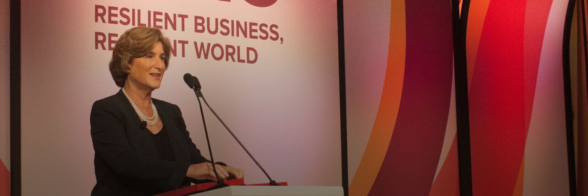 Denise Morrison, President and CEO of Campbell Soup Company, Explores Leadership, Purpose at #BSR15 hero image