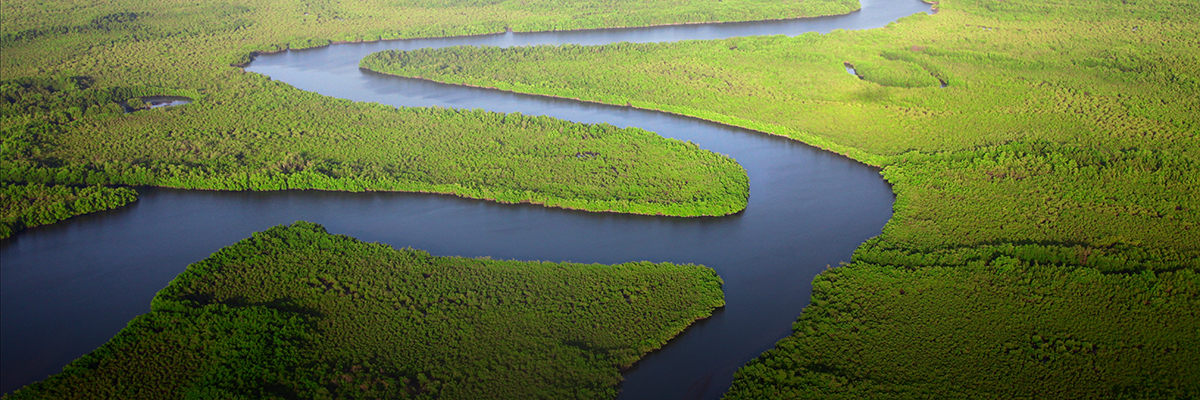 Investing in Nature Can Be Win-Win-Win for Business, Communities, and the Environment hero image
