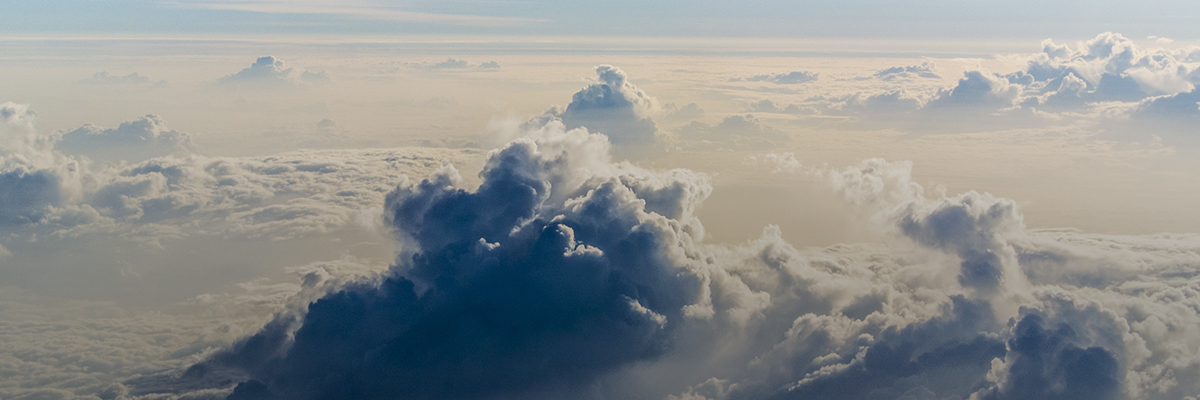 BSR Member Spotlight: Patrick Flynn, Director of Sustainability, Salesforce hero image