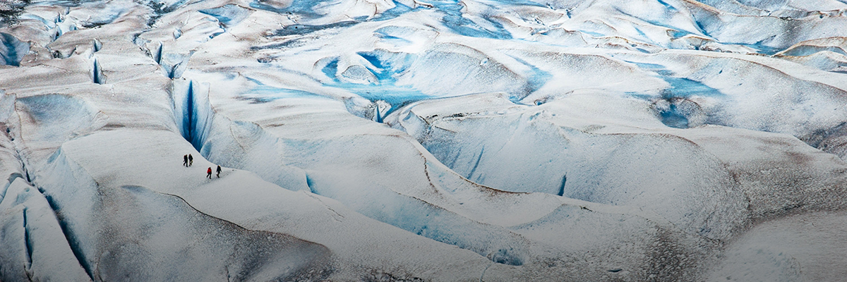 The Road to Resilience: Sustainability in the Age of the Coronavirus hero image