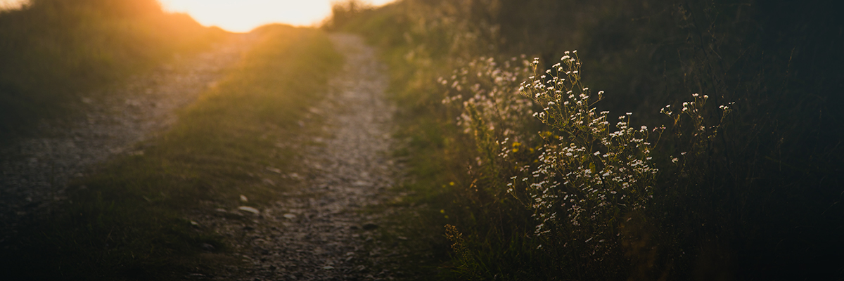 Reducing Value Chain Emissions to Achieve Science-Based Targets hero image