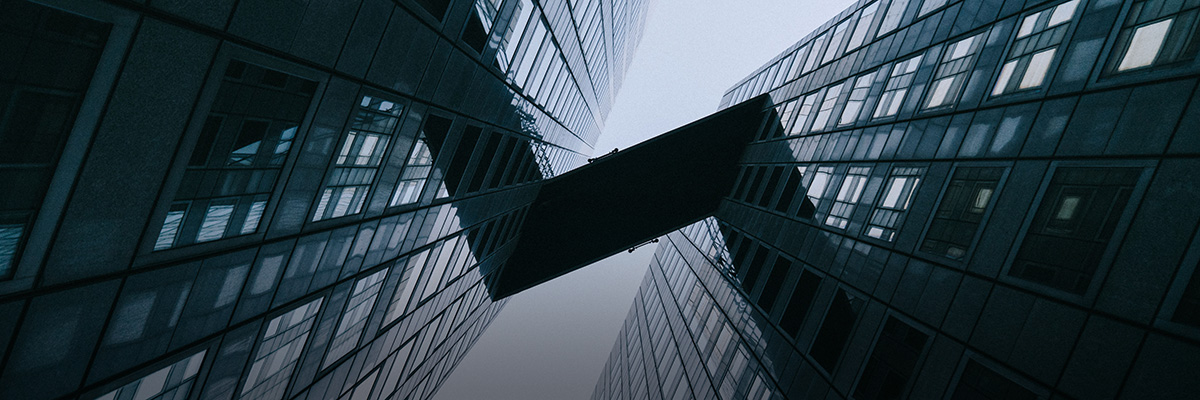 BSR Member Spotlight: Yuri Itoh, Senior Manager, CSR, Hitachi, Ltd. hero image