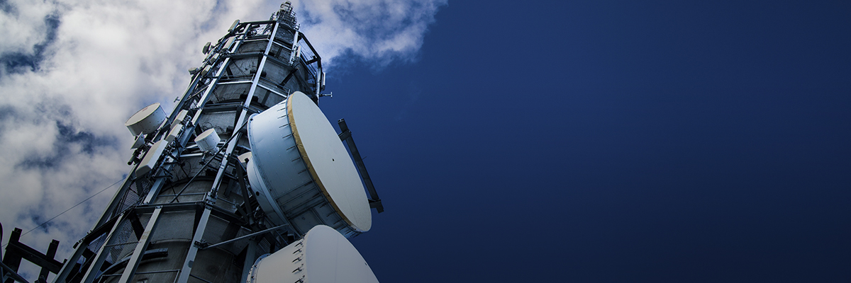 BSR Member Spotlight: Mai Oldgard, Senior Vice President, Head of Sustainability, Telenor Group hero image