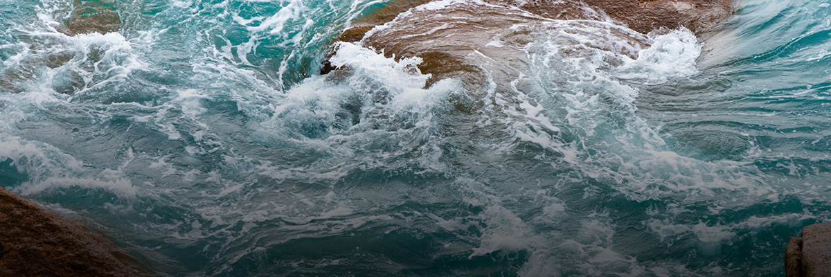 As the Tide of Corporate Climate Action Shifts, Three Ways to Enhance Business Leadership hero image