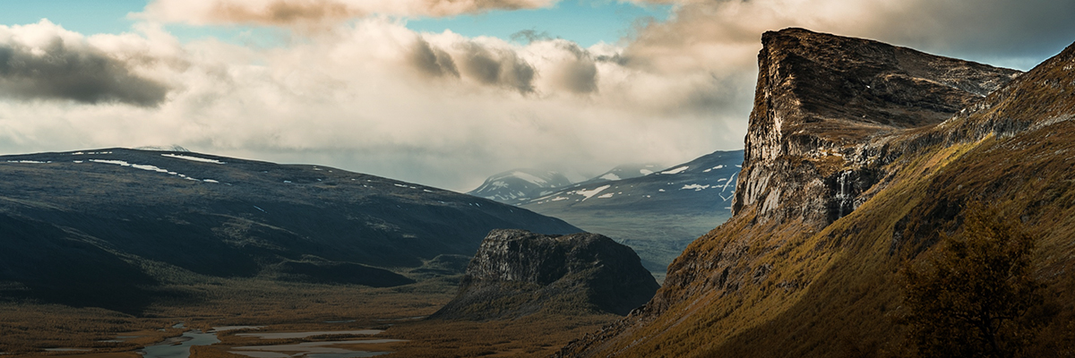 Statement by BSR President and CEO Aron Cramer on Walmart Climate Announcement hero image