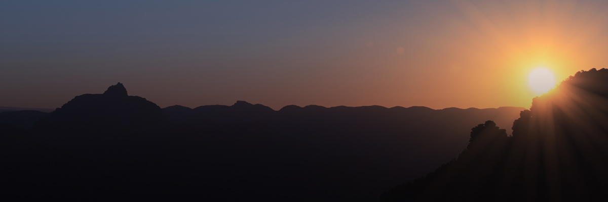 The Top BSR Insights of 2016 hero image