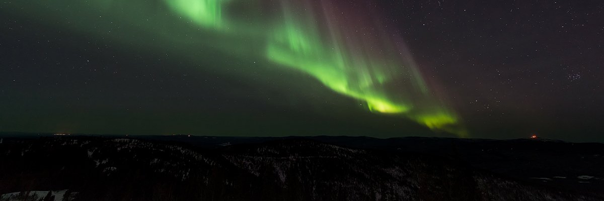 In Case You Missed It: Noteworthy BSR Insights of 2016 hero image