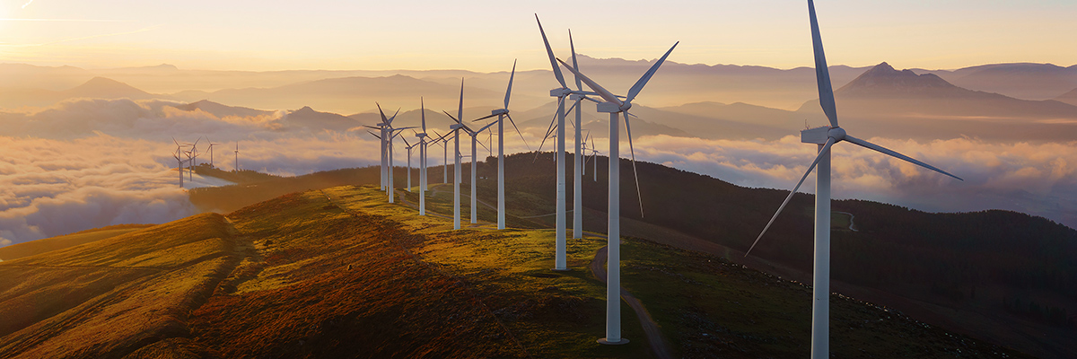 After Paris: There is No Denying Our Clean Energy Future hero image