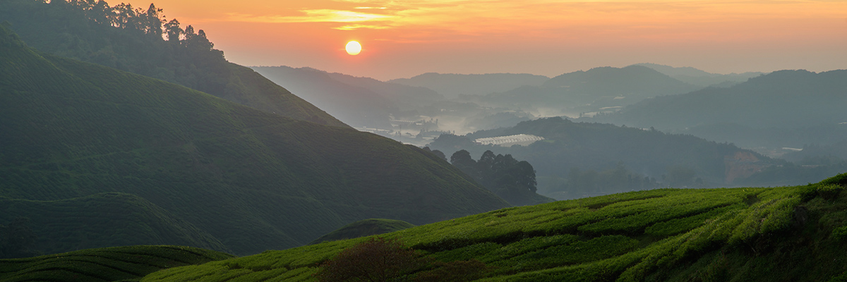 To Avoid Forced Labor in Supply Chains, Build a Functioning Labor-Migration Market hero image