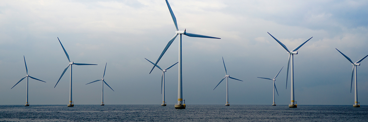 BSR Member Spotlight: Alexandre Brailowsky, Head of Societal Responsibility, Engie hero image