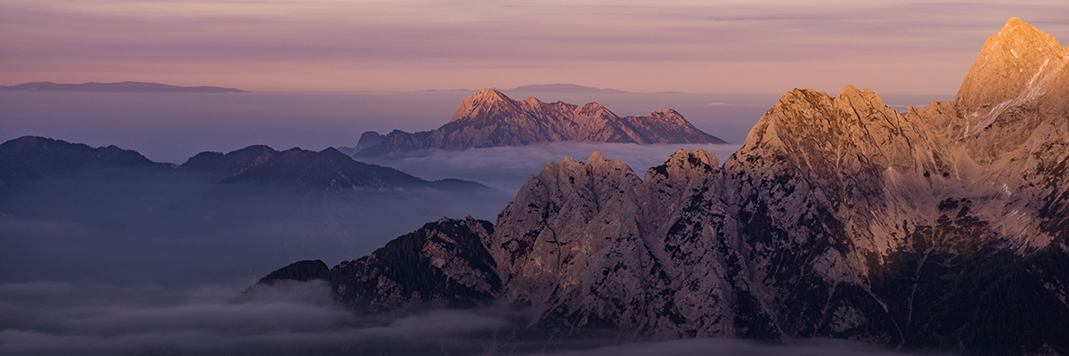 A ‘Net Positive’ Future Is Within Reach: Introducing the Net Positive Project hero image