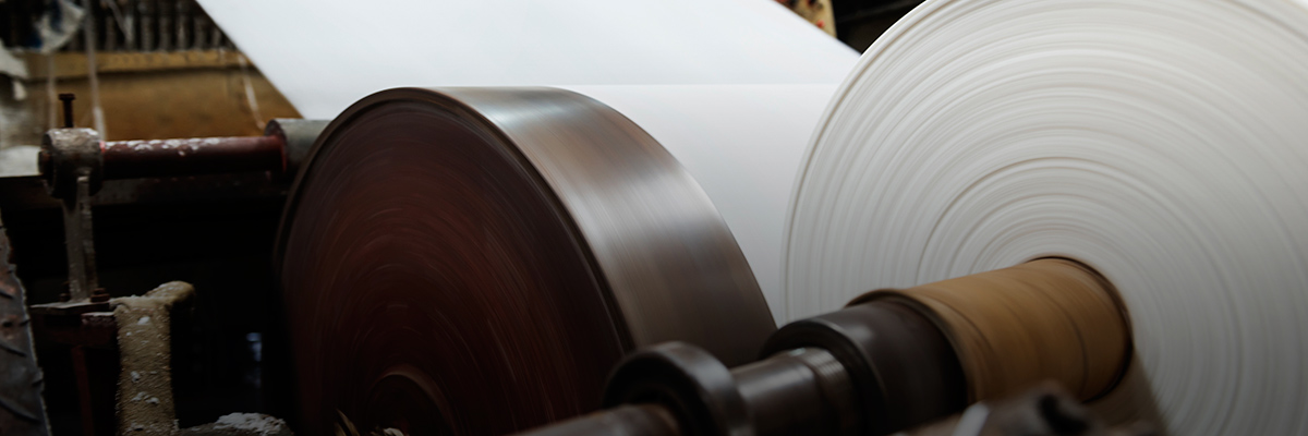 BSR Member Spotlight: Noel Morrin, Executive Vice President for Sustainability, Stora Enso hero image