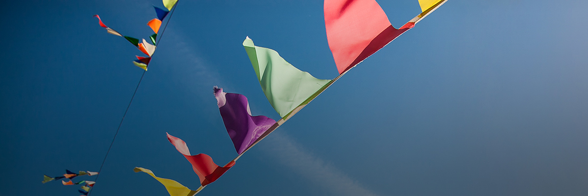 The Future of Reporting Is Triangular hero image