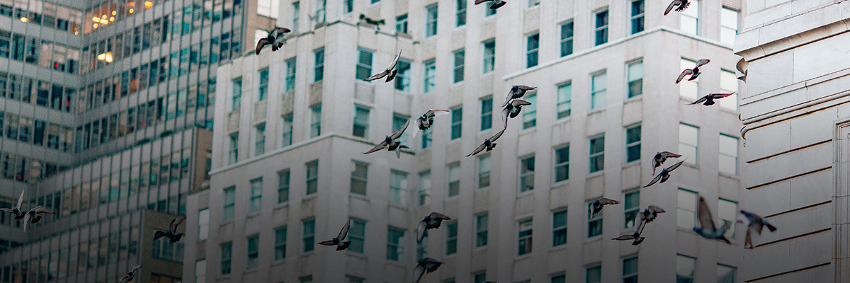 Evolution in Private Equity ESG: From Policies and Efficiency to Impact hero image