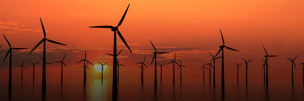 Why Business Supported the Clean Power Plan: It Made Economic Sense hero image