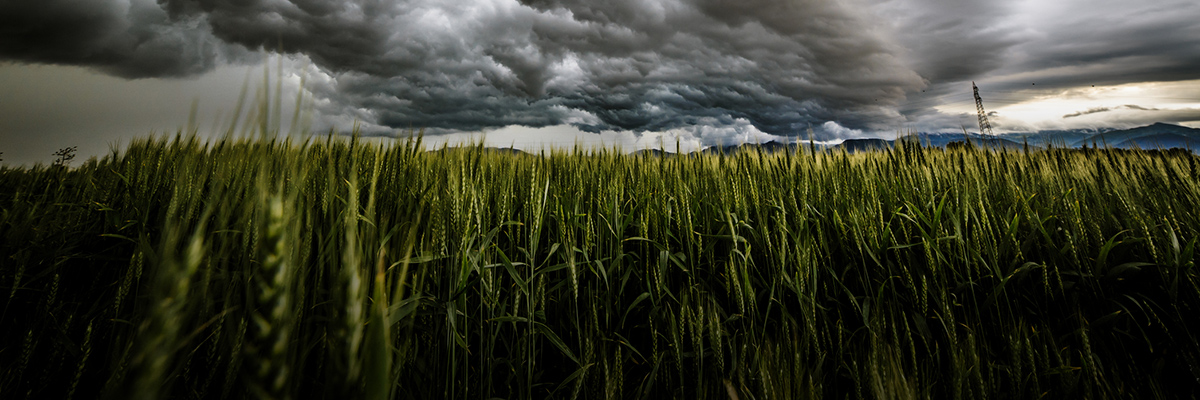 Shared Resilience: Businesses Are Ready to Partner to Build Climate Resilience hero image