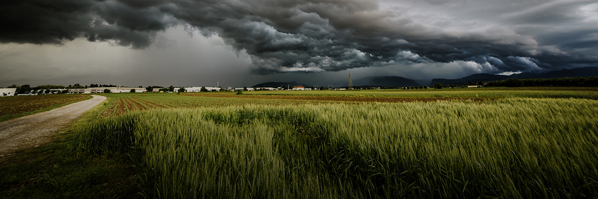 Value Chain Risk to Resilience hero image