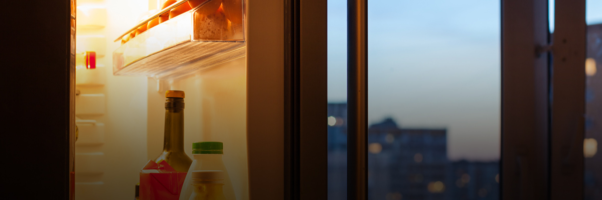 Emptier Refrigerators as Social Capital: Redefining the Value of Food in the United States hero image