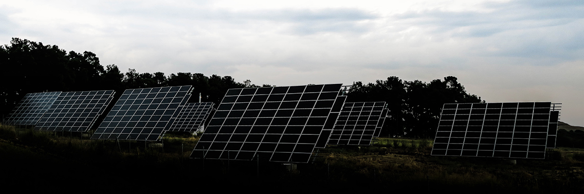 Better Energy Management Electrifies the Corporate Agenda hero image