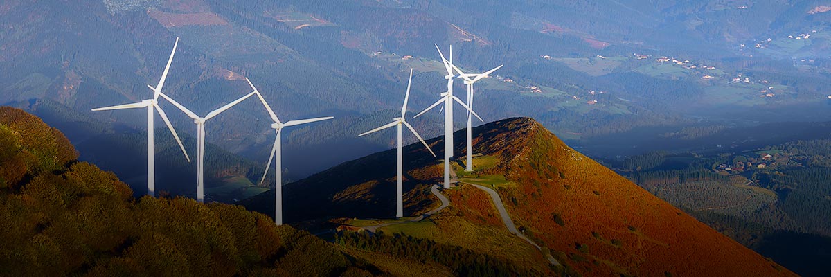 Business Steps Up Leadership on Climate Action as U.S. Administration Withdraws hero image