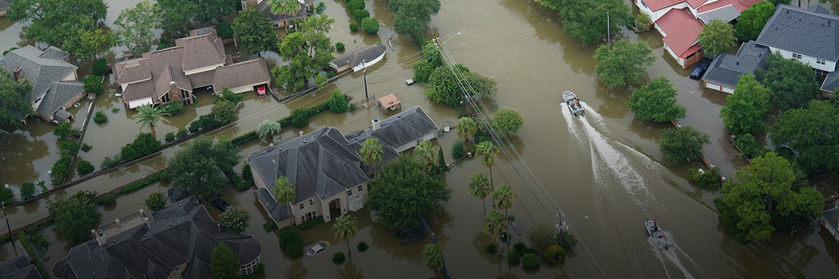 How Business Can Help Build Climate Resilience Today hero image