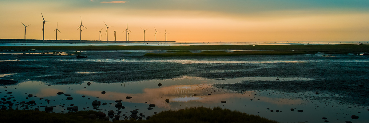 Action-Oriented Science Based Targets: A Joint Service from BSR and CDP hero image