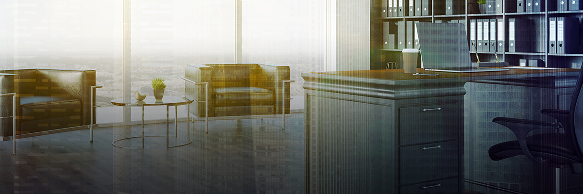 (Re)Making the Case for Sustainability: Effective Sustainability Management through a CEO Transition hero image