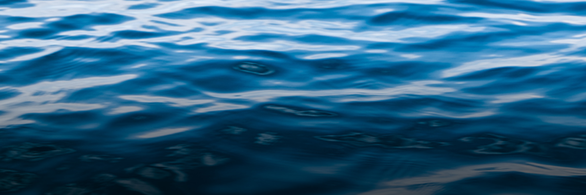 Managing Corporate Supply Chain Water Risk in a Changing China (English) hero image