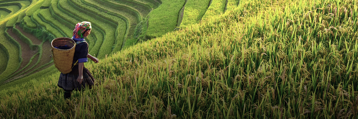 The Business Case for Empowering Women through Climate-Resilient Supply Chains hero image