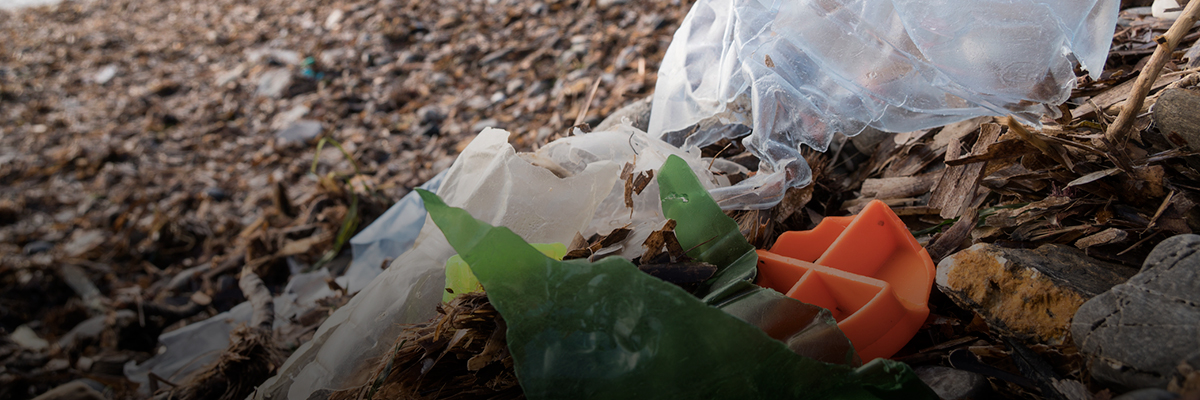 What Can Business Do to Prevent Plastic from Becoming Waste in Asia Pacific? hero image