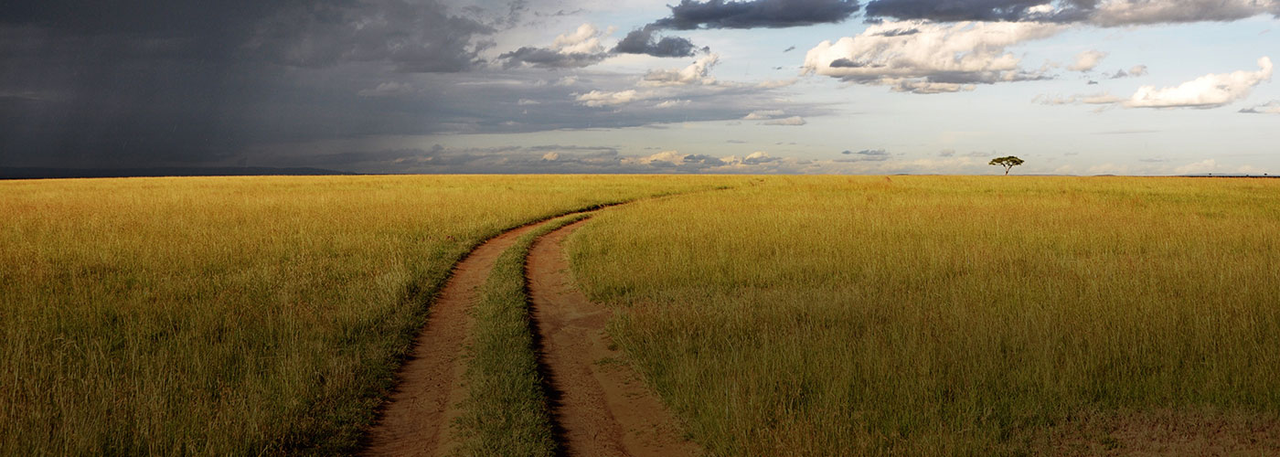 The Business Case for Building Climate Resilience into Your Supply Chain hero image